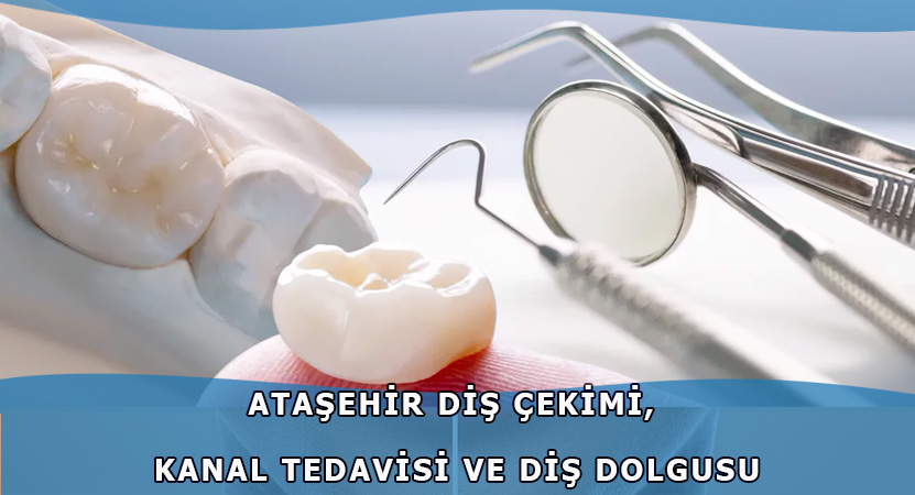 Ataşehir Diş Çekimi, Kanal Tedavisi ve Diş Dolgusu